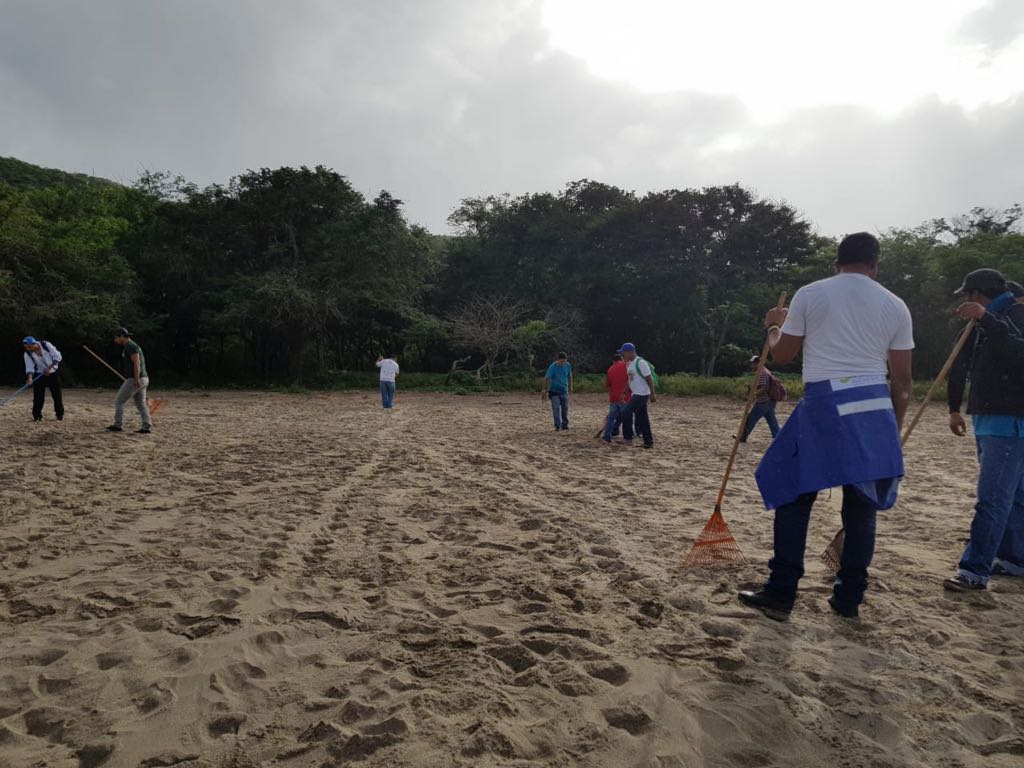 Tortugas1